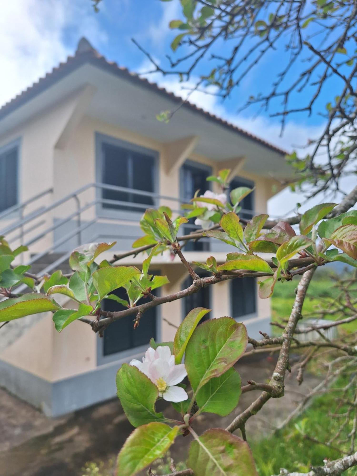 Villa Correia - Ribeiro Frio São Roque do Faial Exteriör bild